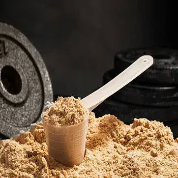Whey Protein Powder